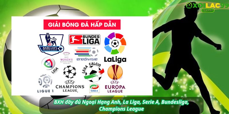 Tổng hợp logo giải đấu lớn + BXH mẫu Premier League, V-League