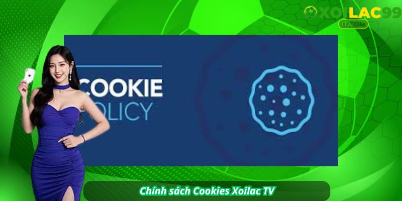 Biểu tượng cookie nhỏ kèm khiên bảo mật, dòng chữ “Cookies an toàn
